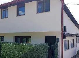 Red Roof Apartment