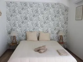 La Fleur de Canne - Bagatelle - T2 avec jardin et spa