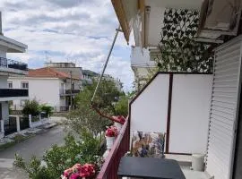Lidia home