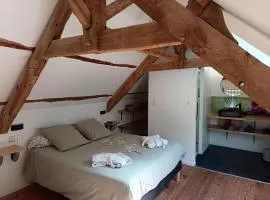 A La Mémoire de Merlin " Gîte Le Miroir Aux Fées "