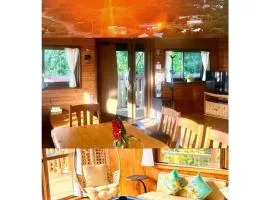3-Story House Panoramic View BBQ Billiards Pet Friendly