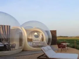 Wine Bubble