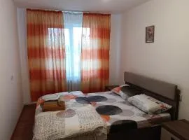 Ultracentral Victoriei 2 camere