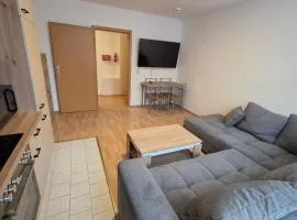 Schöne 2-Zi-Whg, voll ausgestattete Küche, Aufzug, WLAN, Schlafsofa, Waschmaschine