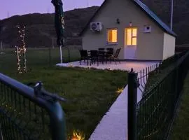 Home Delic Komarnica