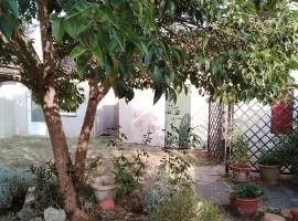 Appartement T2 meublé