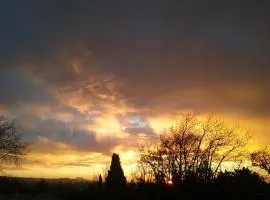 Au cœur des Alpilles