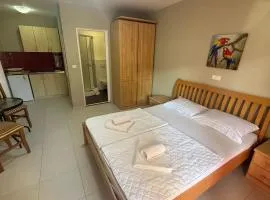 Adzic apartments 2