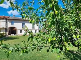 Grancia di Matilde B&B