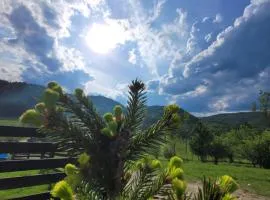 Cabana Noah Rustic