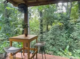 Calm jungle retreat