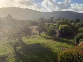 Appartement sagone