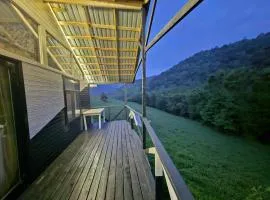 Nature Lerik Home