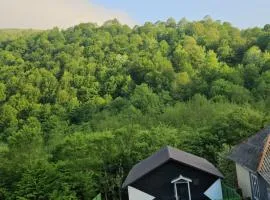 Nature Lerik Home