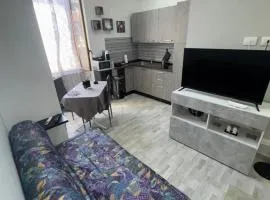 Holiday House