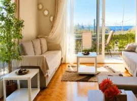 Luxurious Palace Marina Alimos