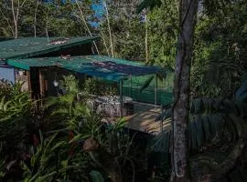Cabaña la Fulanita del bosque #1