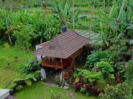 Dopi Rinjani Homestay, готель у місті Тетебату