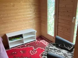 Kargevärava kämping