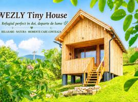 Wezly Tiny House, hotelli kohteessa Măgura