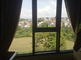 Homestay wsb