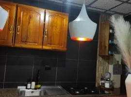 Cenizo's house - apartment in downtown Mindo