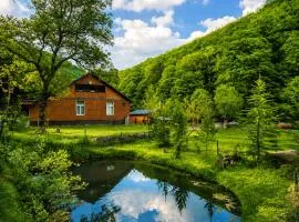 Cabana Tarța din Blidari 1
