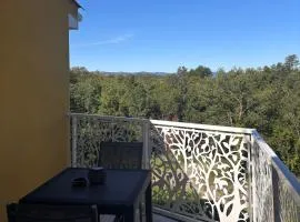 Chambre hotes avec vue panoramique sur la foret