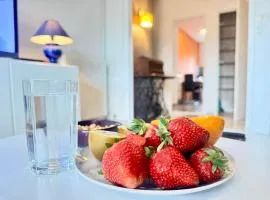 Charming apartment in Albi Free parking