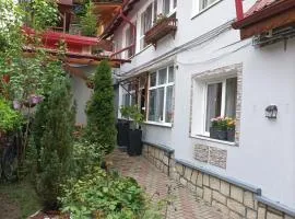 Casa Slanic House