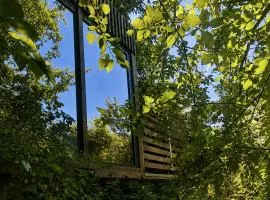 Forest Eco Glamping hiska