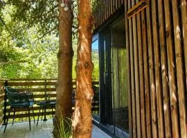Forest Eco Glamping hiska