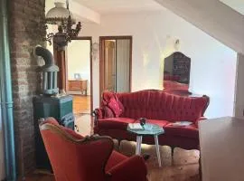 Creative Attic with Terrace & Garden -Podgorica