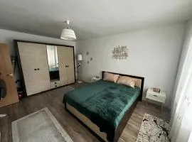Dragasani Cozy Apartament