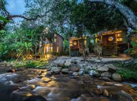 The ForRest Peace Forest แม่กำปอง