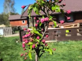 Domek Betula Izerska
