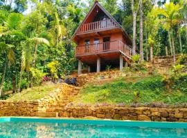 Tea land nature resort & eco cabana