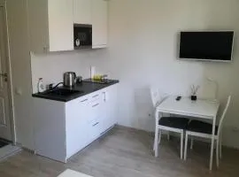 Vilnius Town Apartmen