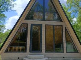 A-frame Family