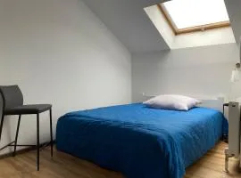 Cozy apartment close city center