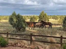 Cabin with Wild Horses, Fireplace, Dog Friendly & StarLink