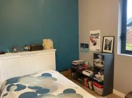 Grande chambre dans maison individuelle avec jardin