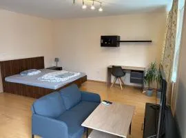 The apartment by the airport