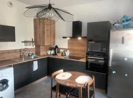 Appartement T1 refait à neuf dans immeuble sécurisé