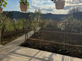 Casa din satul poiana, Vrancea