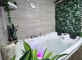 Sensual Accommodation with Whirlpool Bath & Muted Atmosphere