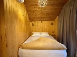 Tunis Village Lake View Cabins