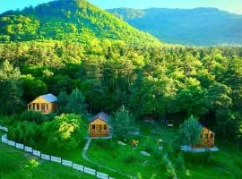Eco Park Resort in Stepanavan Dendropark