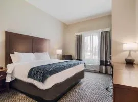 Comfort Inn & Suites Rock Hill Northeast