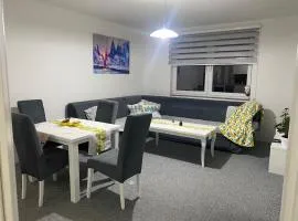 Apartman Nova Pale